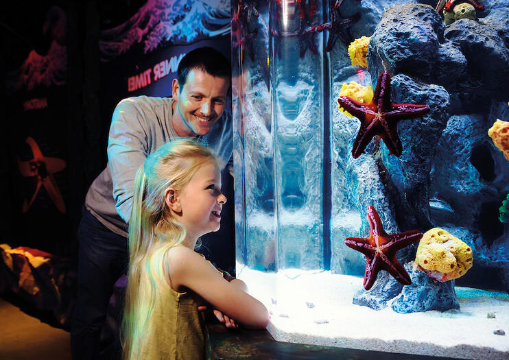 Acuario de Arizona SEA LIFE